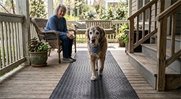 "Senior dog walking safely on a non-slip runner rug."