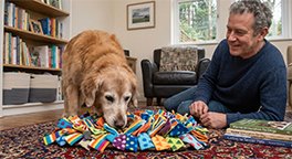 "Senior dog using a snuffle mat for mental enrichment."