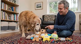 "Senior dog identifying a familiar toy."