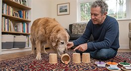 "Owner encouraging a senior dog during an easy brain game."