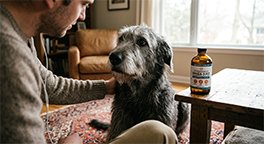"Senior dog beside an Omega-3 fish oil supplement."