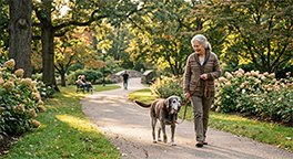 "Senior dog enjoying gentle exercise outdoors."