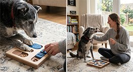"Senior dog using a puzzle toy to support brain health."